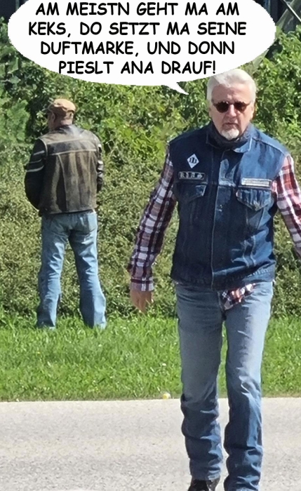 kelten2024.020.jpg