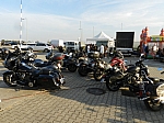 Thumbnail of noricum.mc2024.017.jpg
