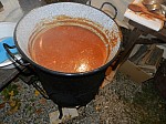 Thumbnail of punsch2021.014.jpg