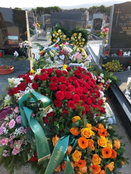 andi.rip186.jpg