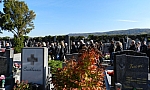 Thumbnail of andi.rip141.jpg