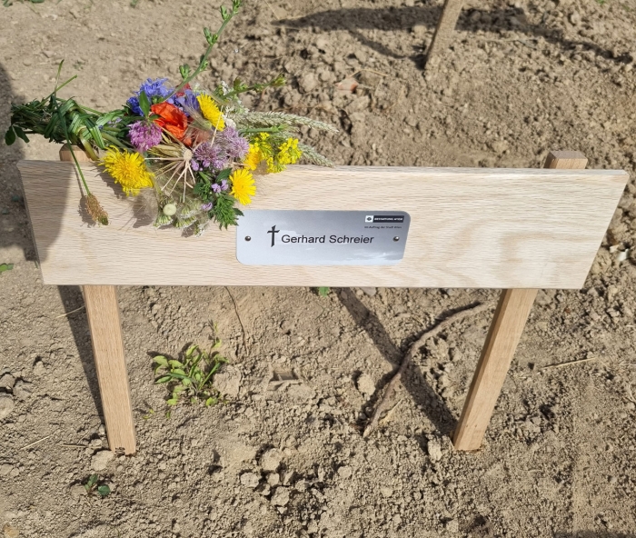 schreier.rip.51.jpg