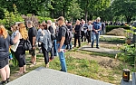 Thumbnail of schreier.rip.45.jpg