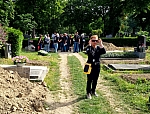 Thumbnail of schreier.rip.76.jpg