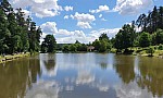 Thumbnail of hessendorf2020.037.jpg