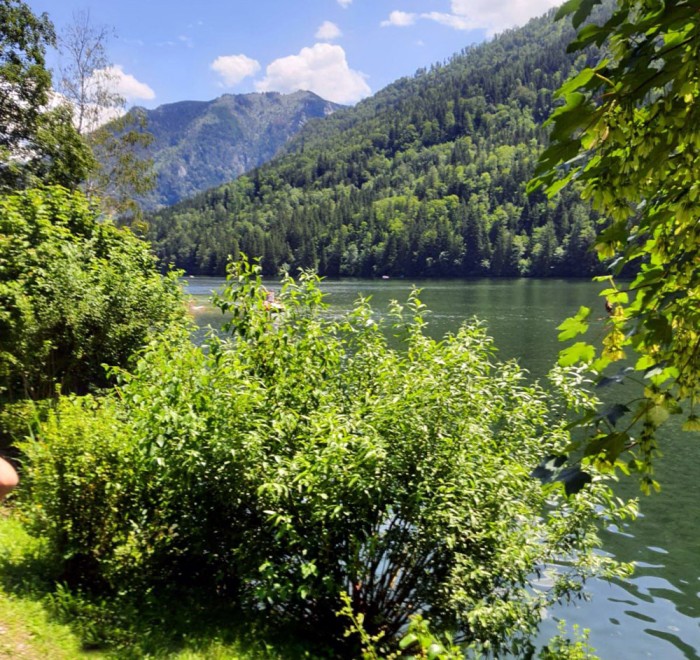 2020.06.28lunzamsee20.jpg