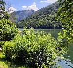 Thumbnail of 2020.06.28lunzamsee20.jpg