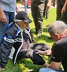 Thumbnail of 2020.06.28lunzamsee29.jpg