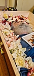 Thumbnail of wunsch.rip012.jpg