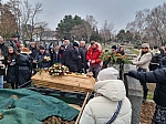 Thumbnail of wunsch.rip039.jpg