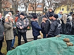 Thumbnail of wunsch.rip059.jpg