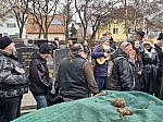 Thumbnail of wunsch.rip068.jpg